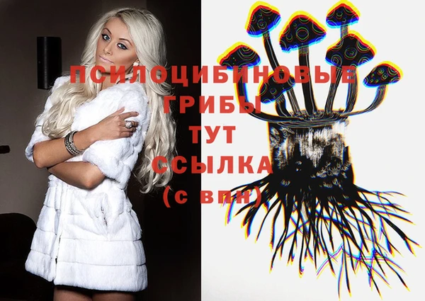 спайс Алзамай